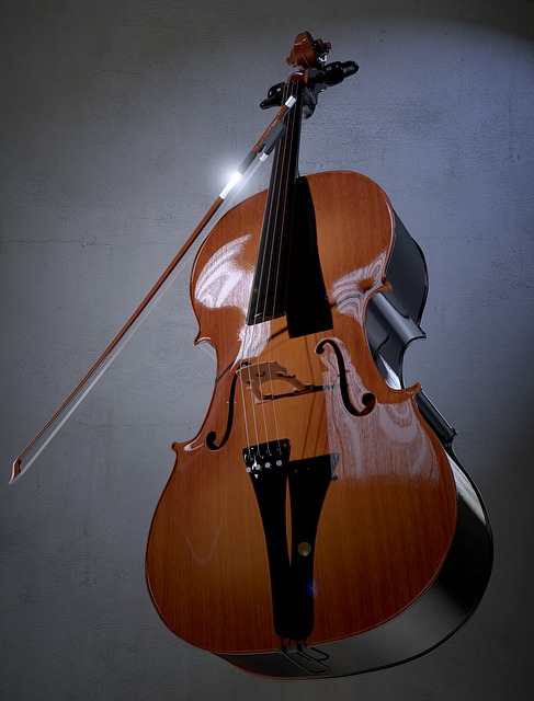 Violonchelo